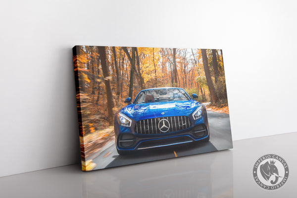 Cuadro Decorativo Auto A021 - Mercedes Benz