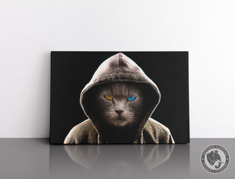 Cuadro Decorativo D038 - Gato Misterioso
