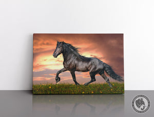 Cuadro Decorativo D044 - Caballo Imponente