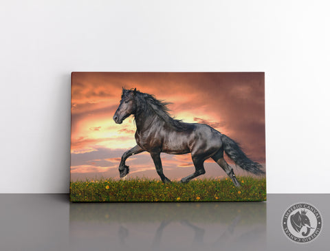Cuadro Decorativo D044 - Caballo Imponente