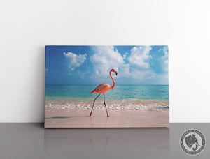 Cuadro Decorativo D052 - Flamingo