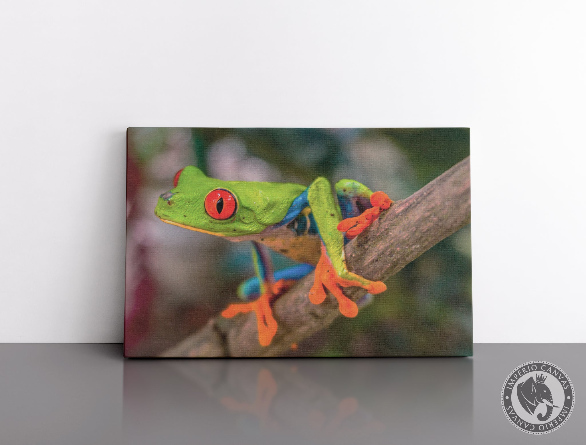 Cuadro Decorativo D058 - Rana Exotica