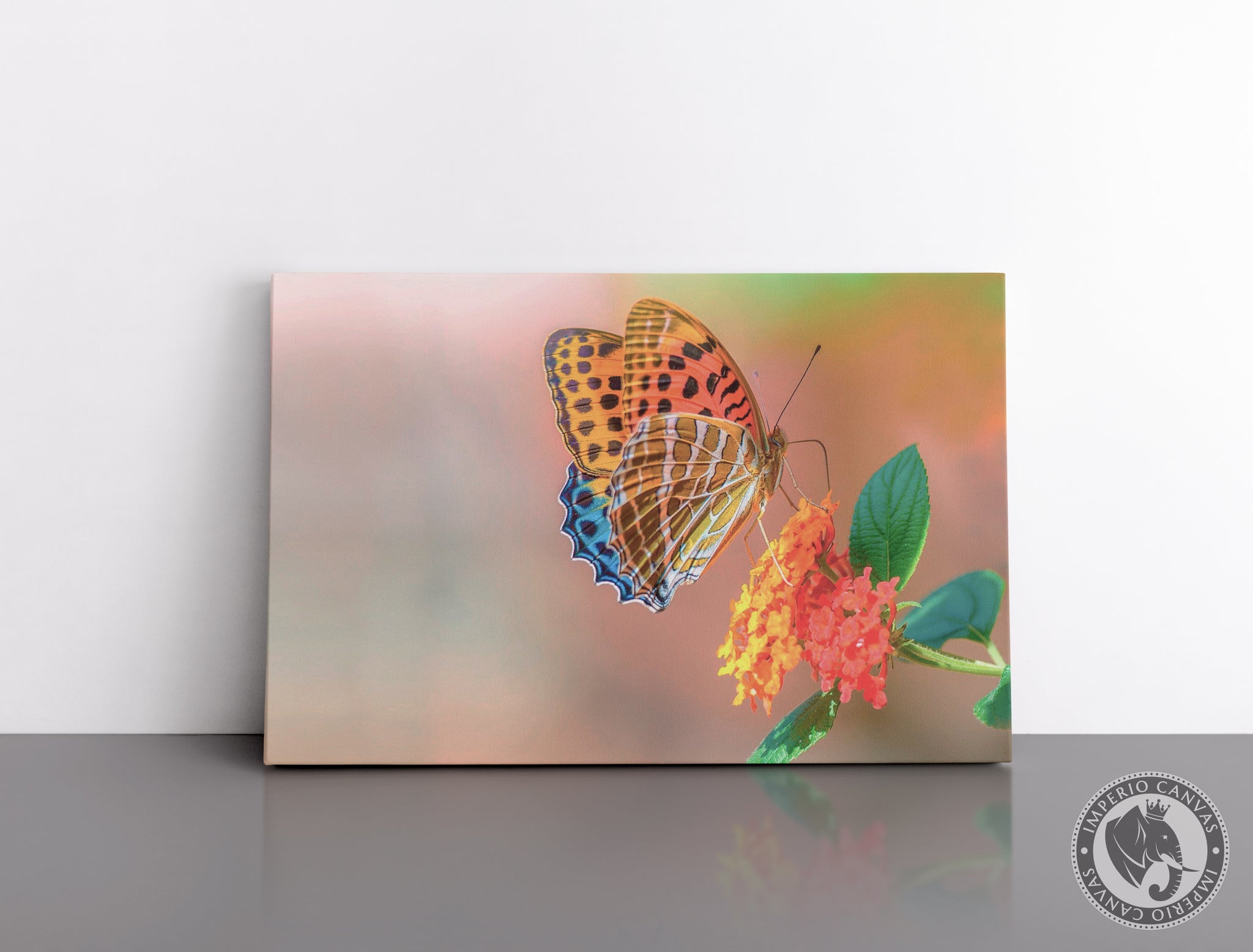 Cuadro Decorativo D059 - Mariposa Colorida