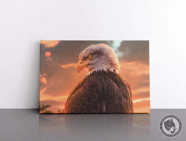 Cuadro Decorativo D060 - Aguila Calva