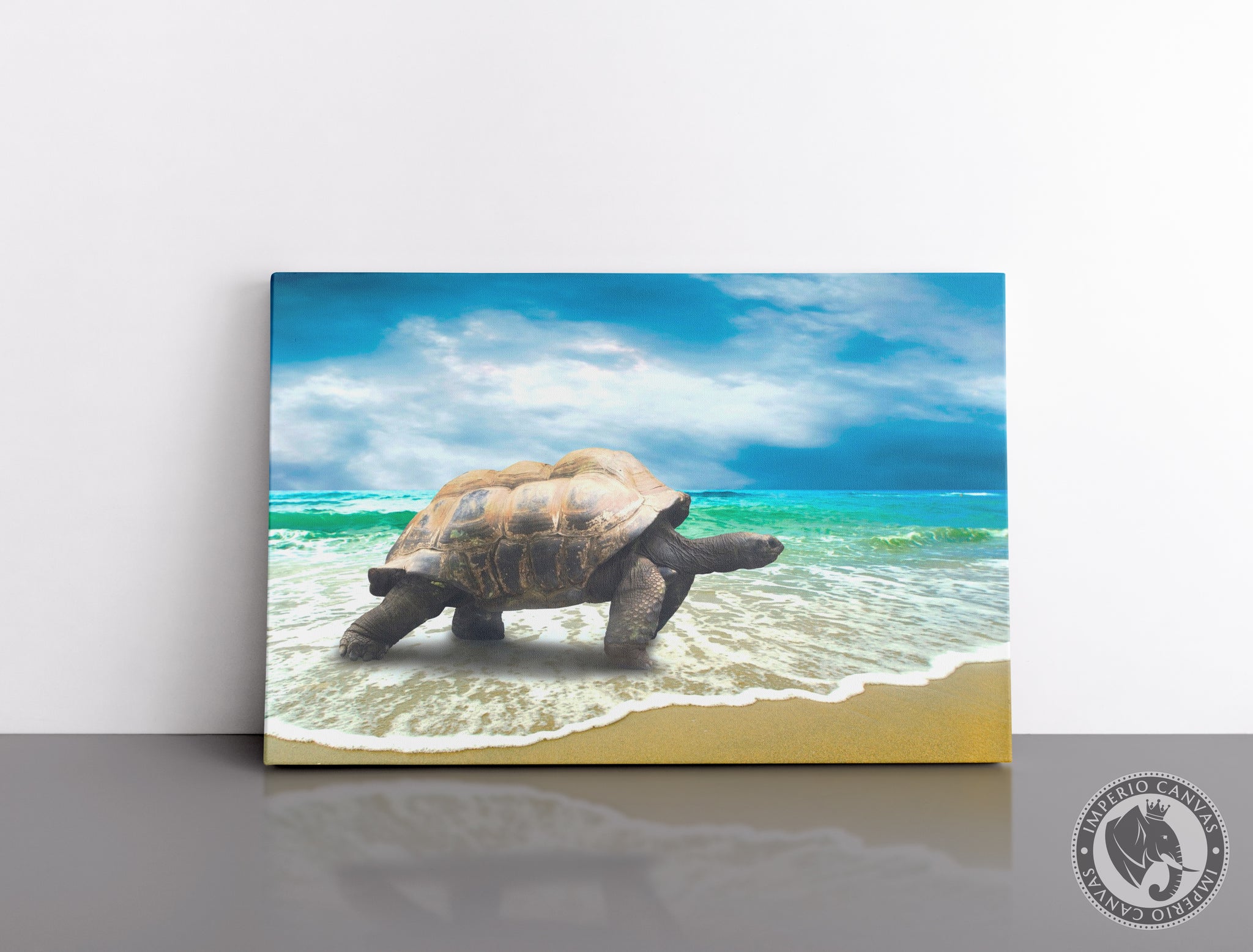 Cuadro Decorativo D089 - Tortuga de Galápagos