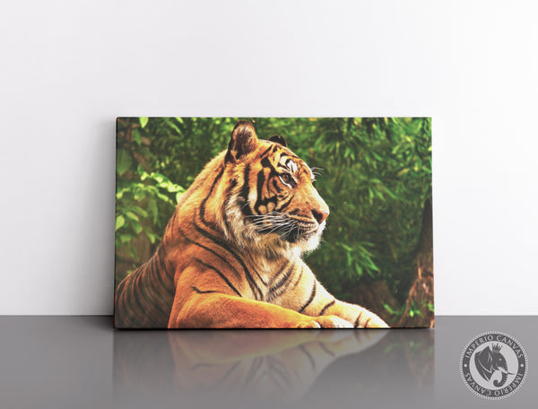 Cuadro Decorativo D092 - Tigre de Bengala