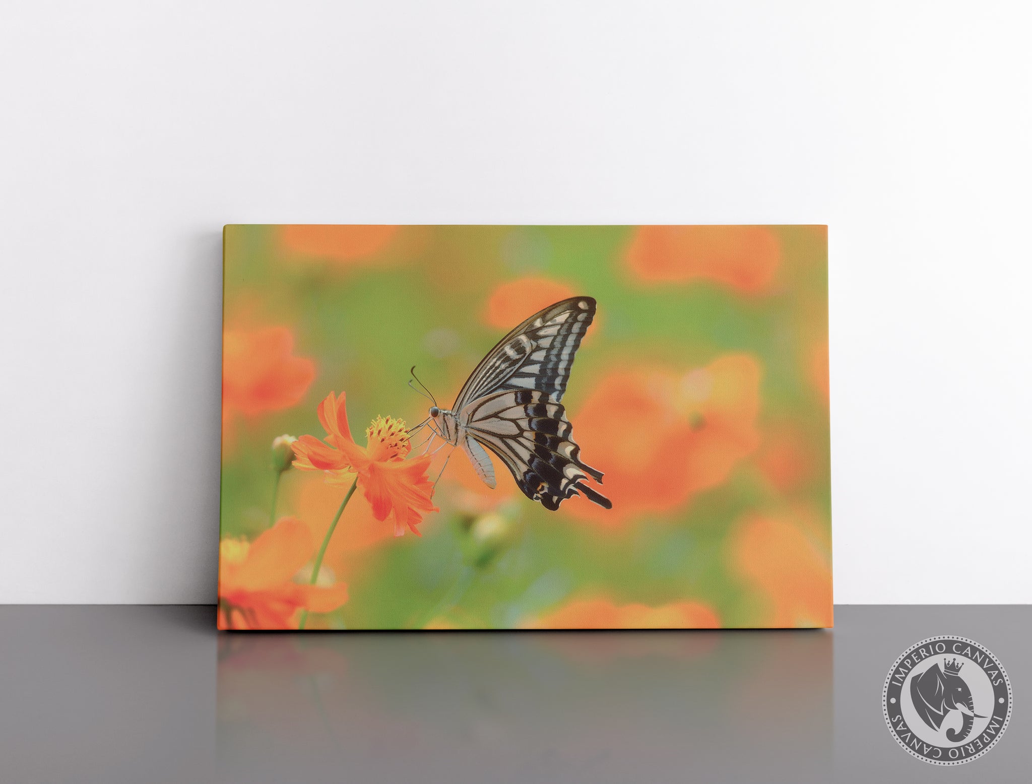Cuadro Decorativo D105 - Mariposa Colorida