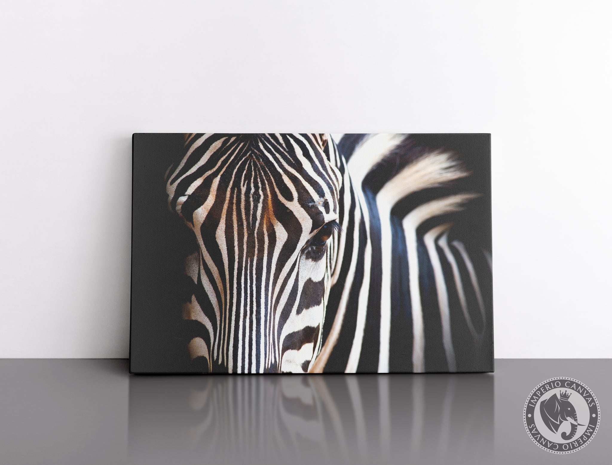 Cuadro Decorativo D107 - Cebra Elegante