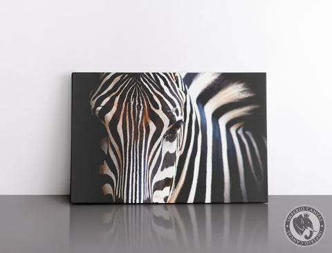 Cuadro Decorativo D107 - Cebra Elegante