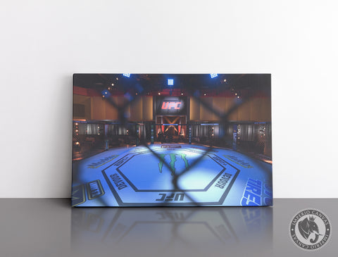 Cuadro Decorativo Deportes E063 - Octágono MMA