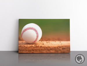 Cuadro Decorativo Deportes E069 - Beisbol