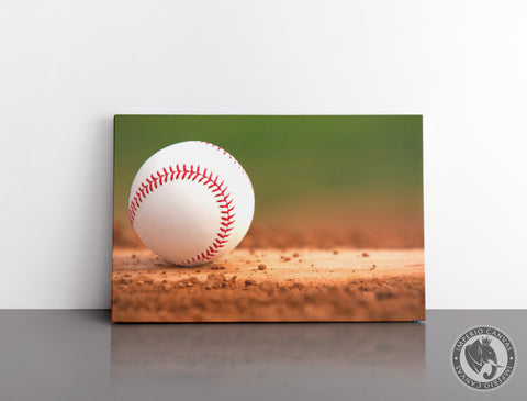 Cuadro Decorativo Deportes E069 - Beisbol